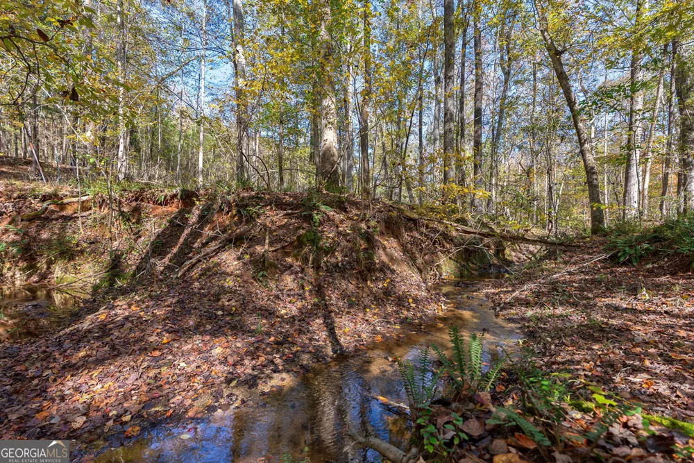 0 Wilson LN Arnoldsville, GA 30619