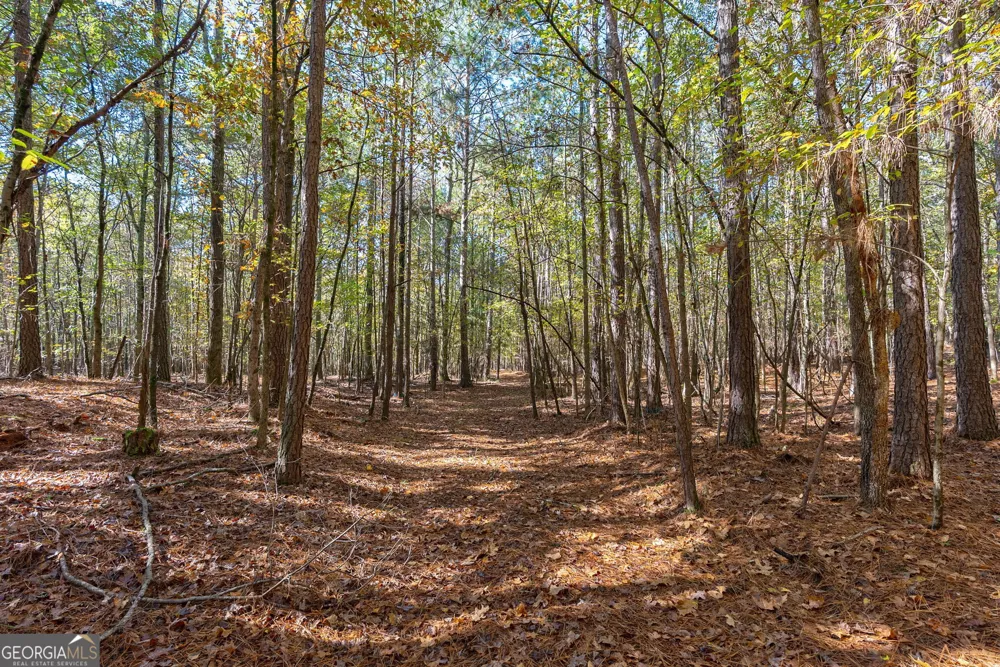 0 Wilson LN Arnoldsville, GA 30619