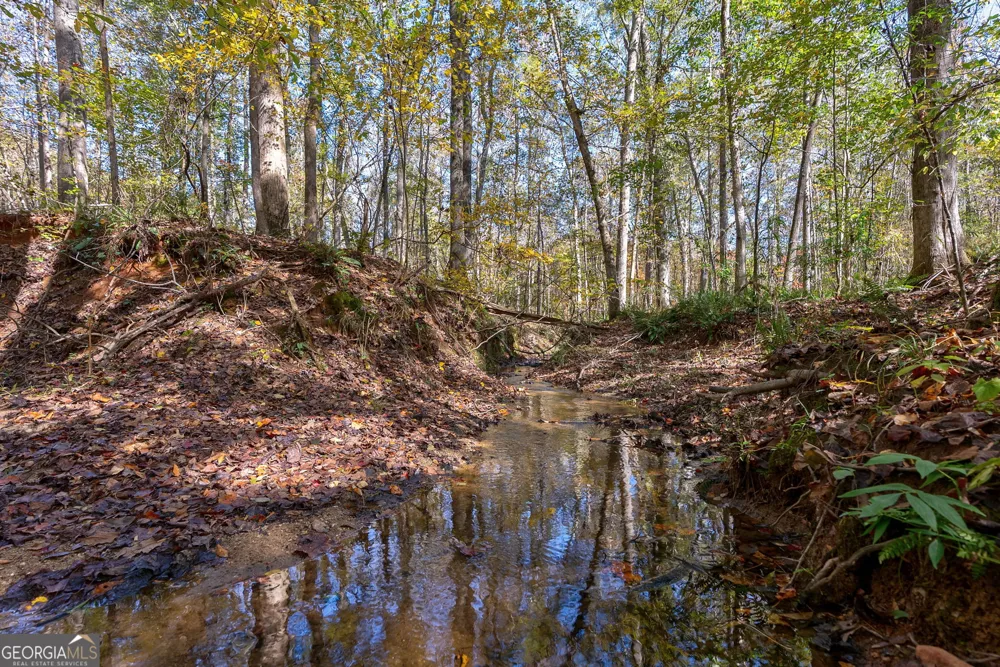 0 Wilson LN Arnoldsville, GA 30619