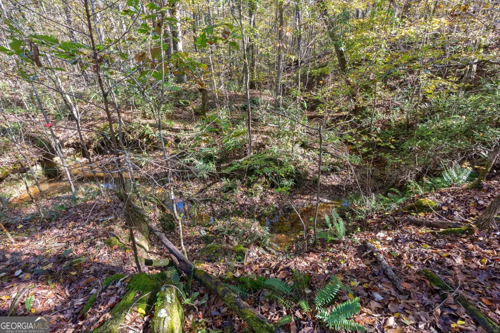 0 Wilson LN Arnoldsville, GA 30619