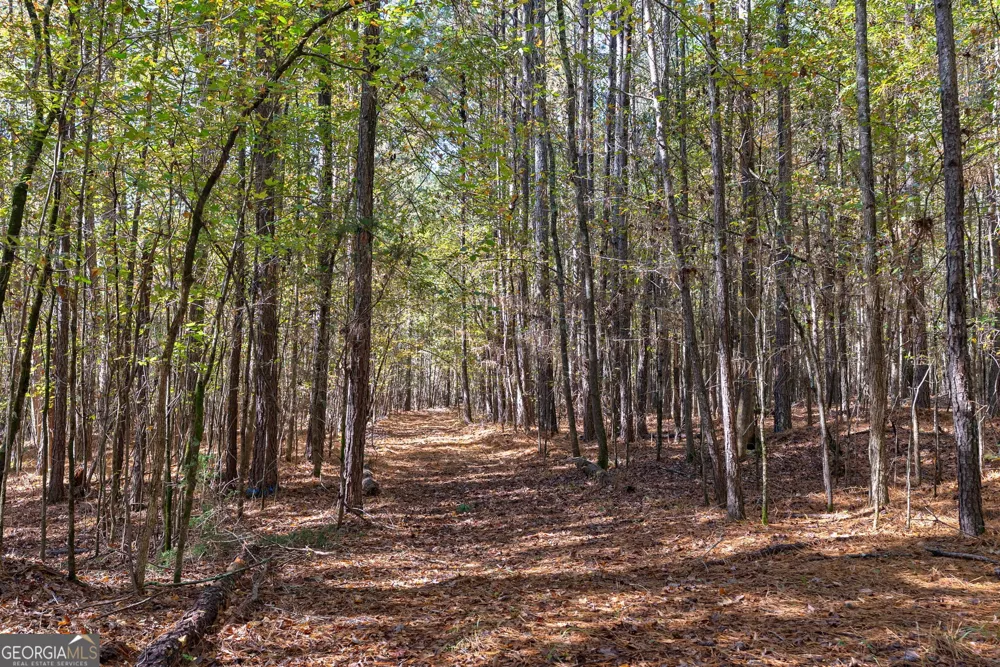 0 Wilson LN Arnoldsville, GA 30619