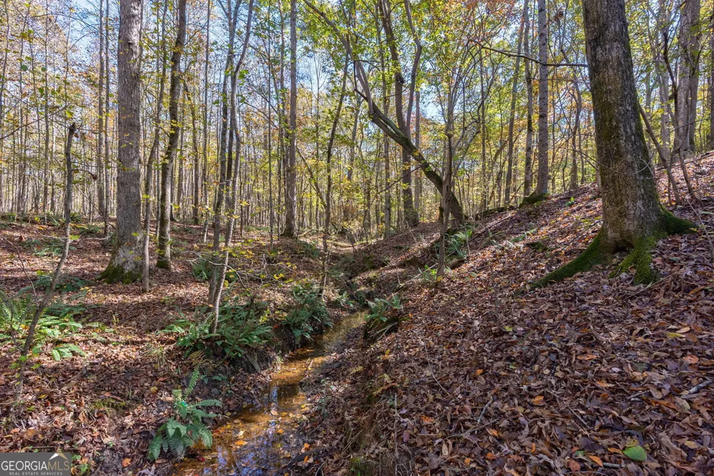 0 Wilson LN Arnoldsville, GA 30619