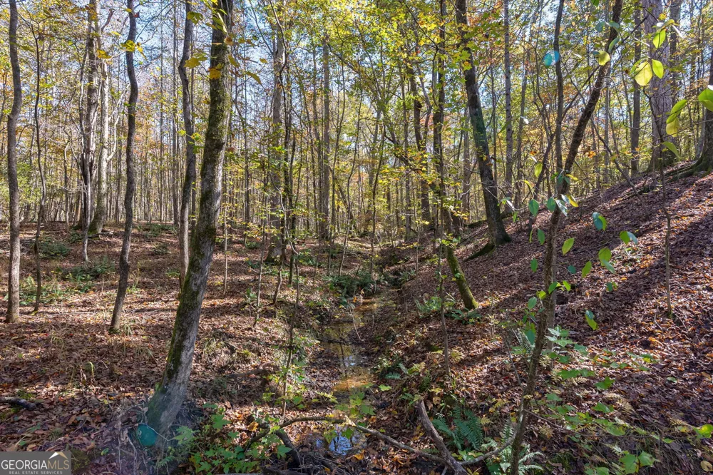 0 Wilson LN Arnoldsville, GA 30619