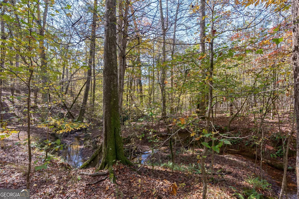 0 Wilson LN Arnoldsville, GA 30619