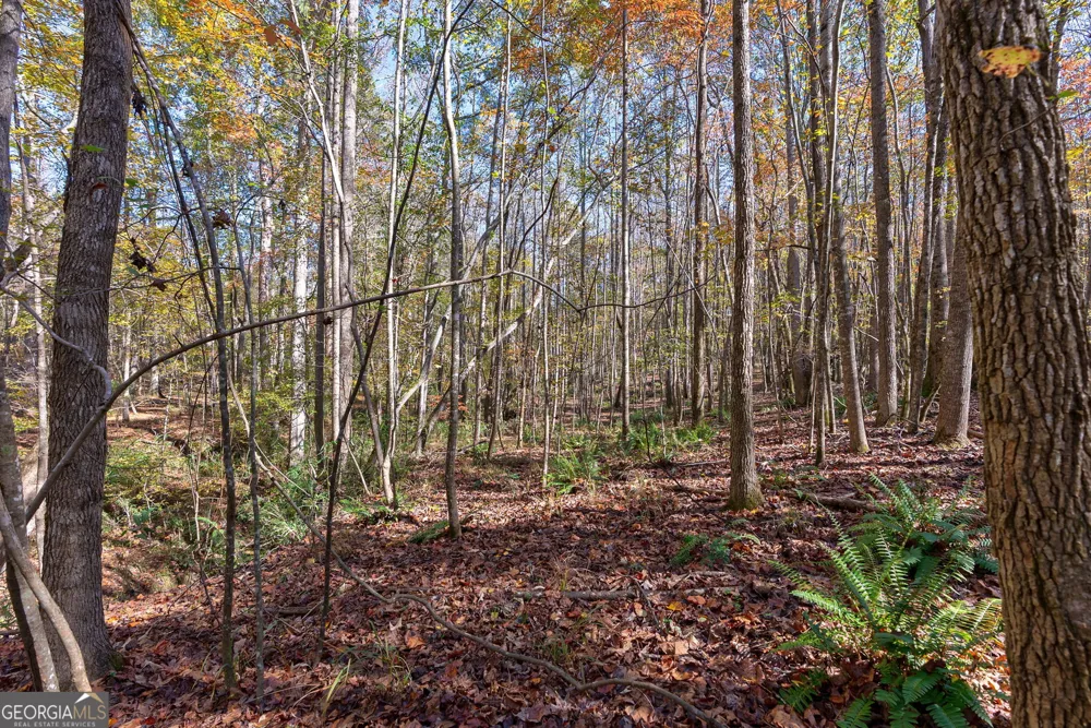 0 Wilson LN Arnoldsville, GA 30619