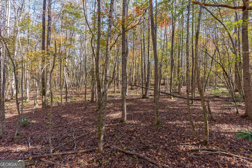 0 Wilson LN Arnoldsville, GA 30619