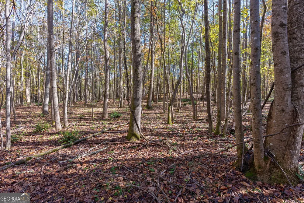 0 Wilson LN Arnoldsville, GA 30619