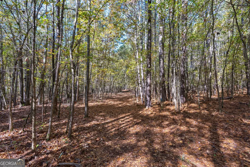 0 Wilson LN Arnoldsville, GA 30619