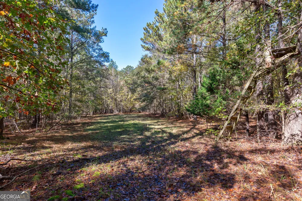 0 Wilson LN Arnoldsville, GA 30619