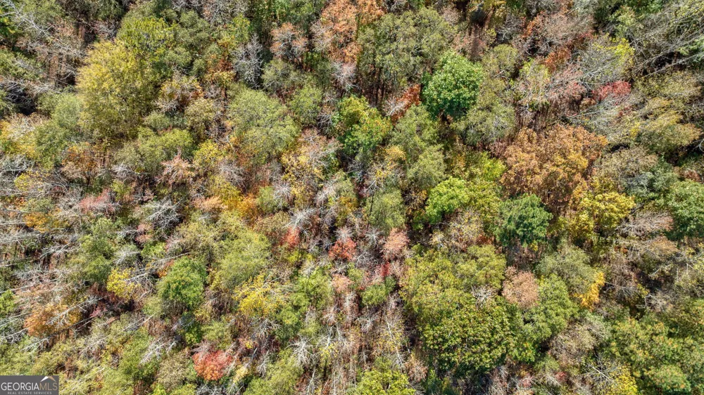 0 Wilson LN Arnoldsville, GA 30619