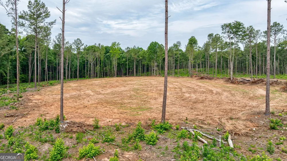 0 Wilson LN Arnoldsville, GA 30619