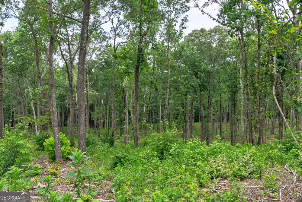 0 Wilson LN Arnoldsville, GA 30619