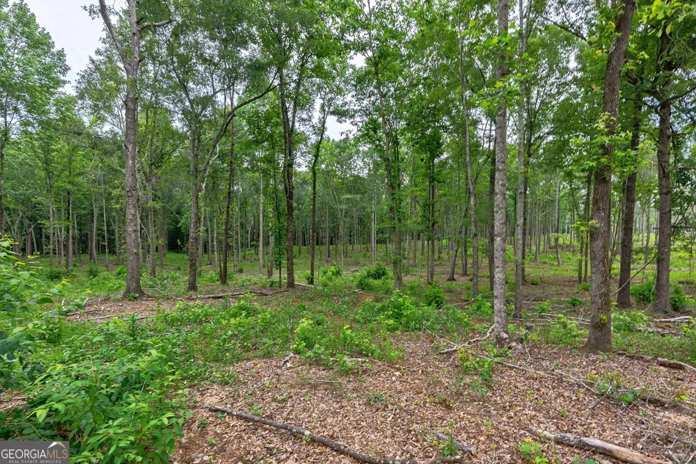 0 Wilson LN Arnoldsville, GA 30619
