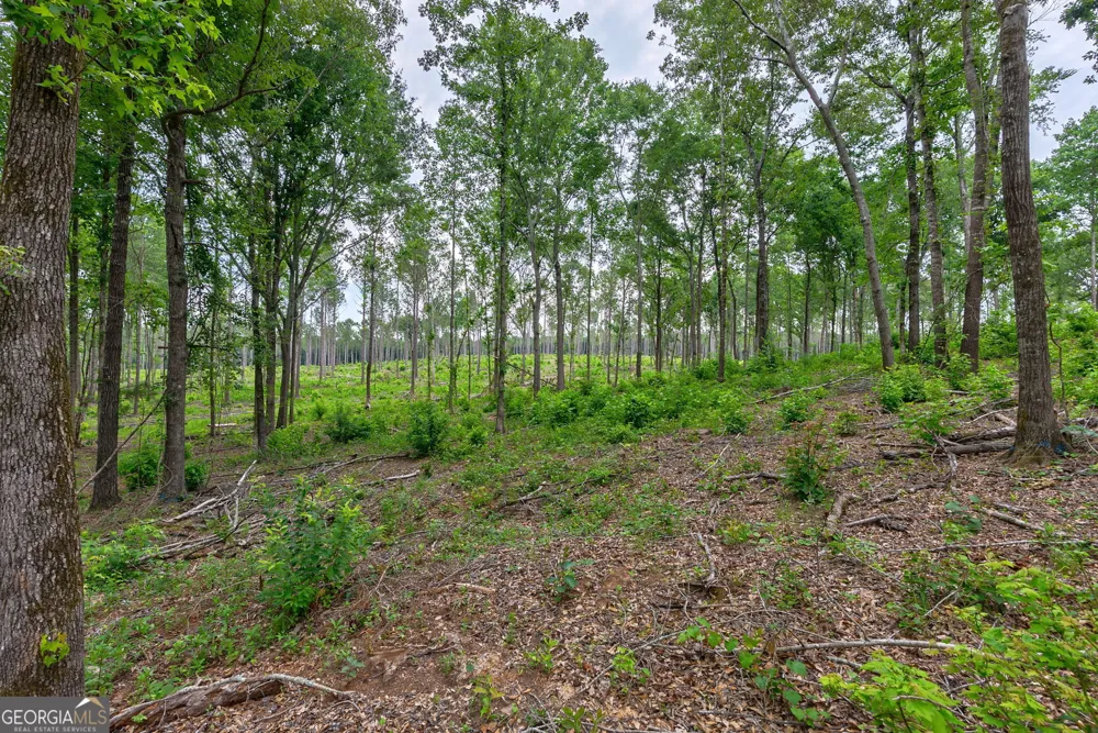 0 Wilson LN Arnoldsville, GA 30619