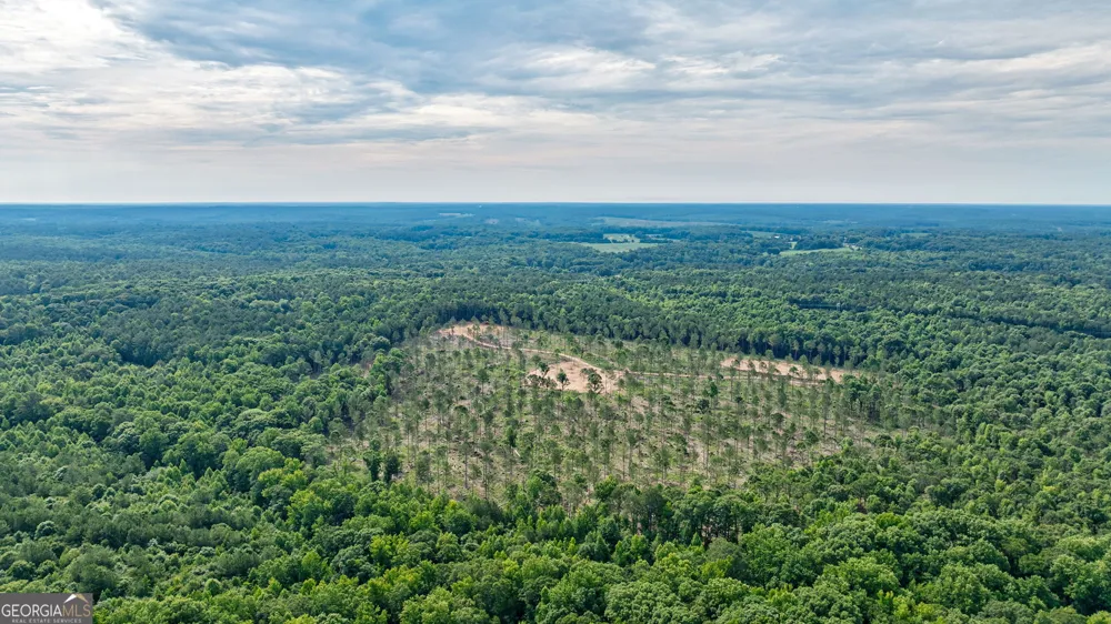 0 Wilson LN Arnoldsville, GA 30619