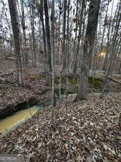0 River Ridge TRL Sparta, GA 31087