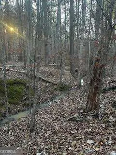 0 River Ridge TRL Sparta, GA 31087