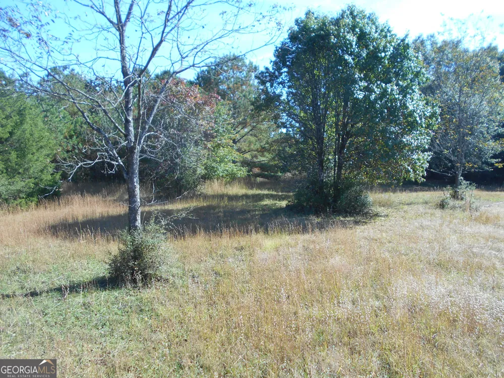 1230 Good Hope RD Monroe, GA 30655