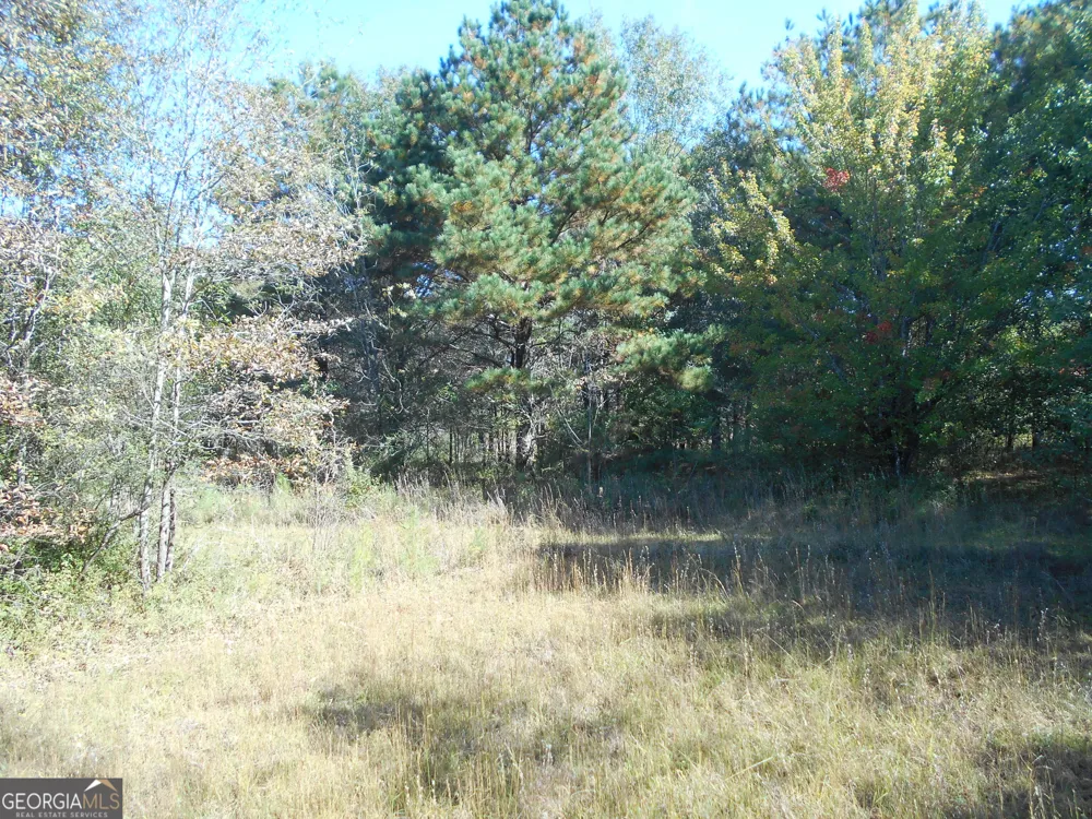 1230 Good Hope RD Monroe, GA 30655