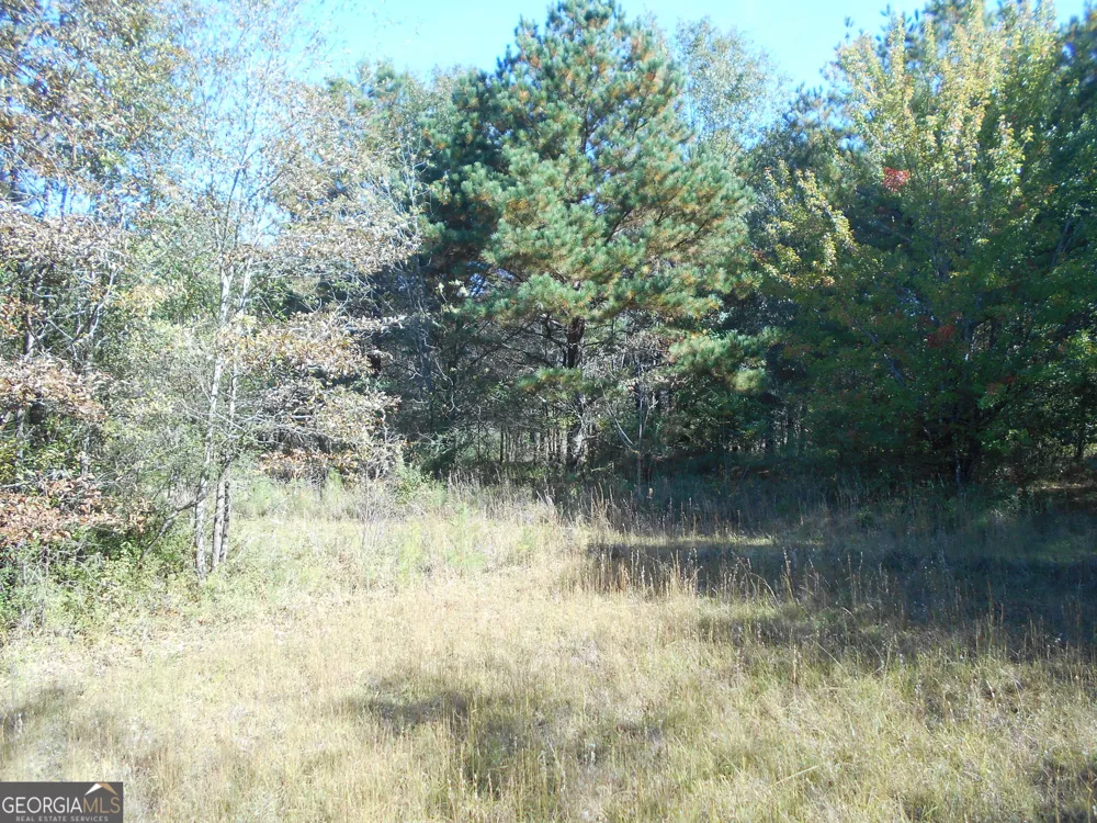 1230 Good Hope RD Monroe, GA 30655