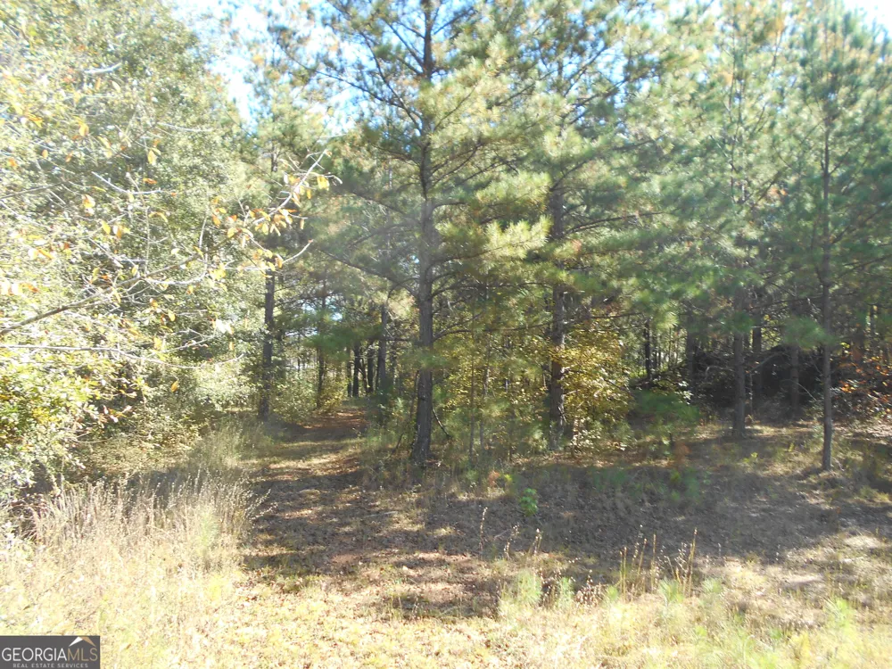 1230 Good Hope RD Monroe, GA 30655