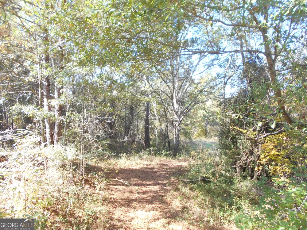 1230 Good Hope RD Monroe, GA 30655