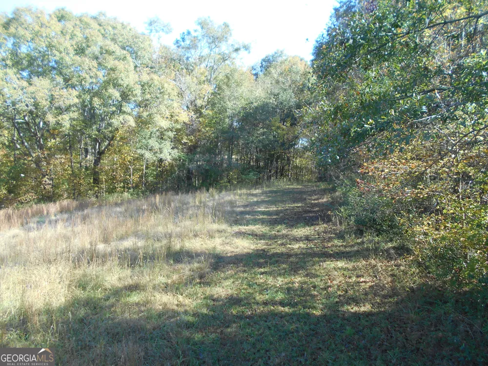 1230 Good Hope RD Monroe, GA 30655