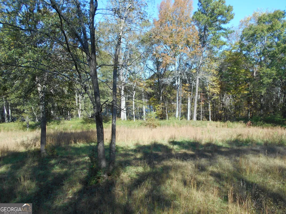 1230 Good Hope RD Monroe, GA 30655