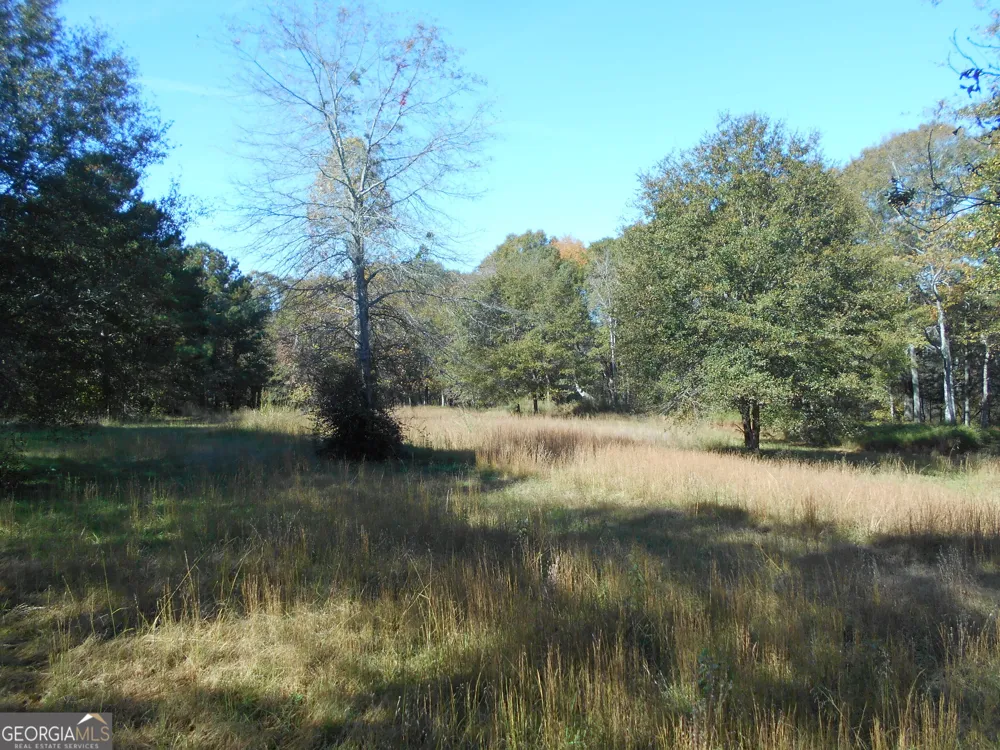 1230 Good Hope RD Monroe, GA 30655
