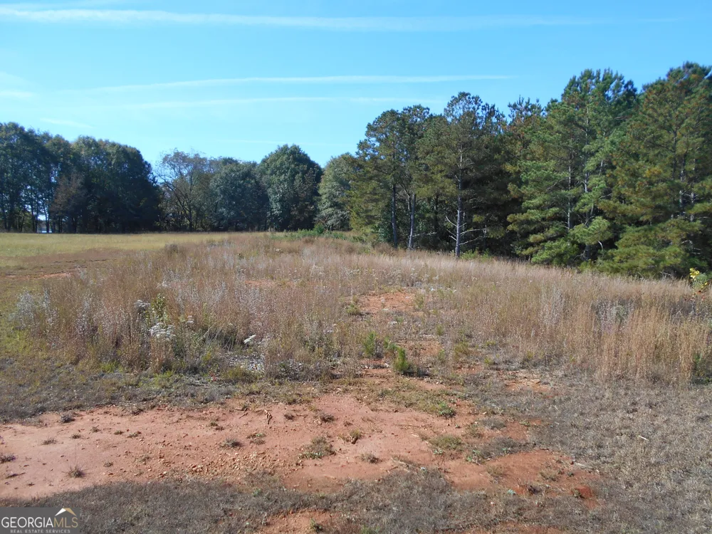 1230 Good Hope RD Monroe, GA 30655