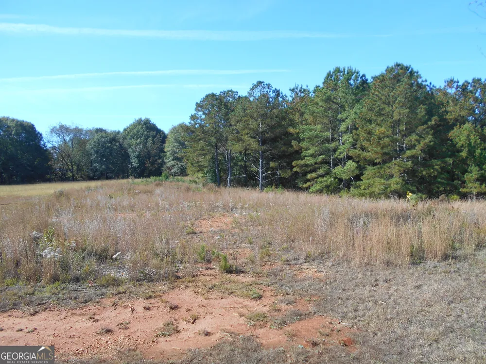 1230 Good Hope RD Monroe, GA 30655