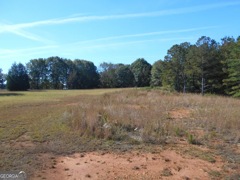 1230 Good Hope RD Monroe, GA 30655