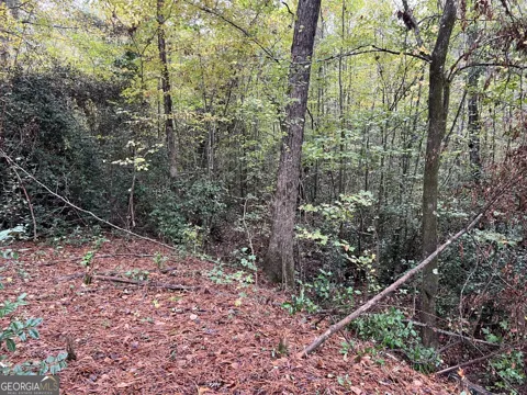 146 Lite N Tie RD