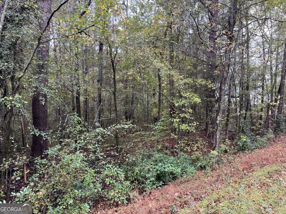266 Clinton Crossing DR Gray, GA 31032