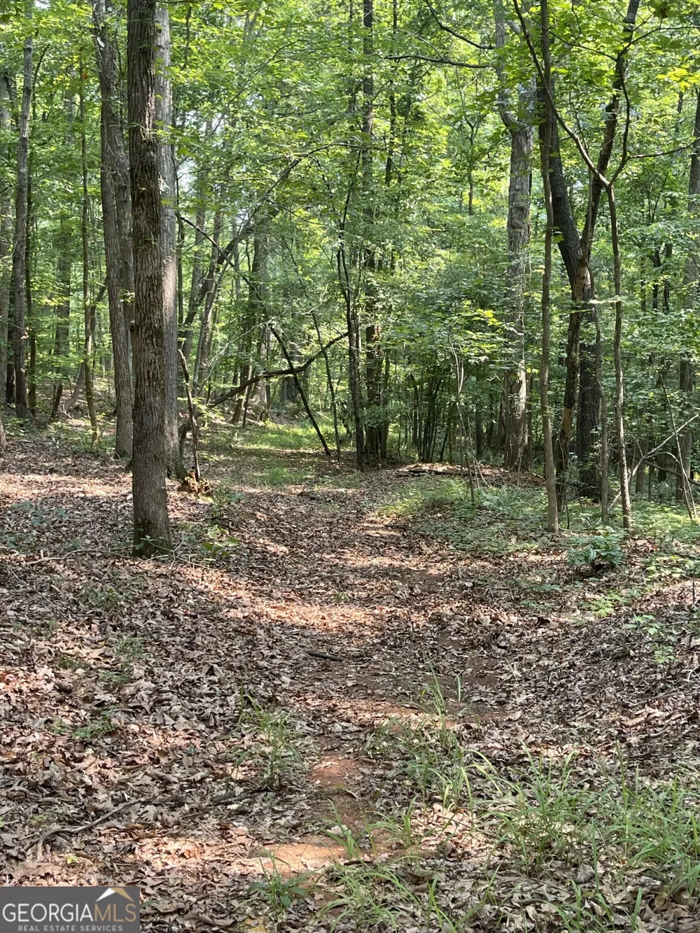 5447 Winder HWY Braselton, GA 30517