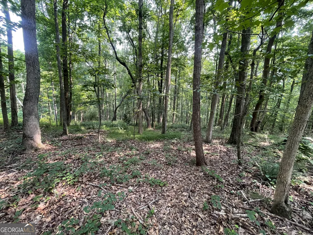 5447 Winder HWY Braselton, GA 30517