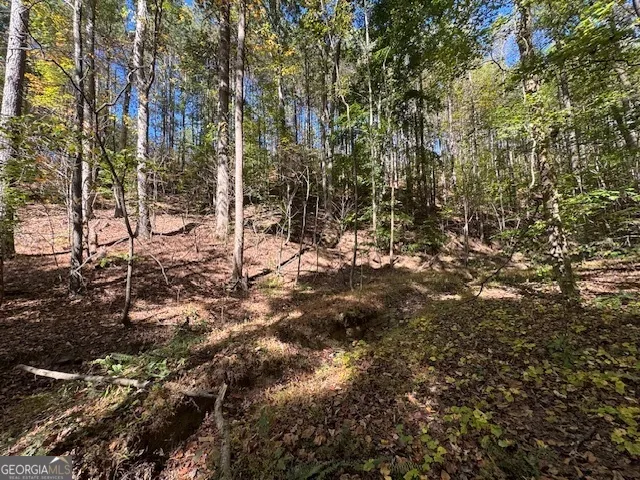 902 Pinyan RD Ranger, GA 30734