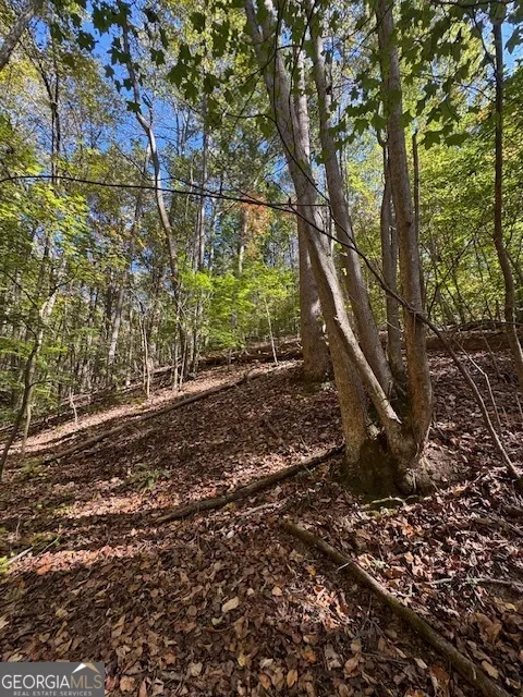 902 Pinyan RD Ranger, GA 30734