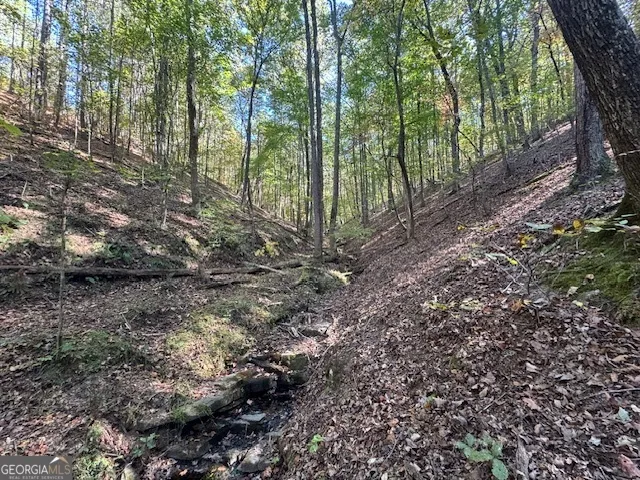 902 Pinyan RD Ranger, GA 30734