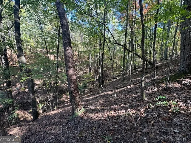902 Pinyan RD Ranger, GA 30734