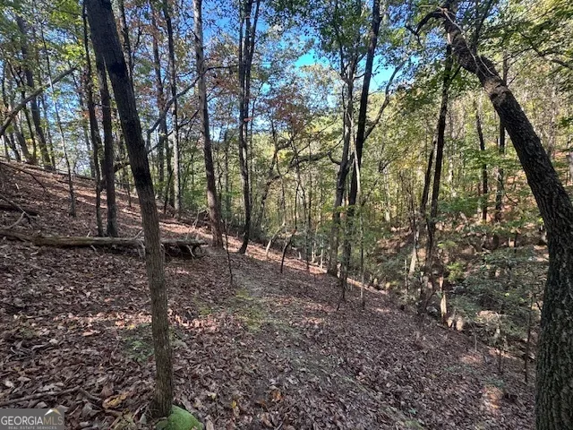 902 Pinyan RD Ranger, GA 30734