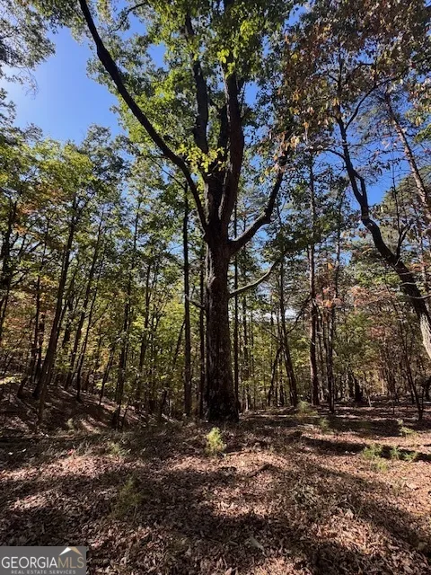 902 Pinyan RD Ranger, GA 30734
