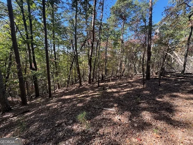 902 Pinyan RD Ranger, GA 30734