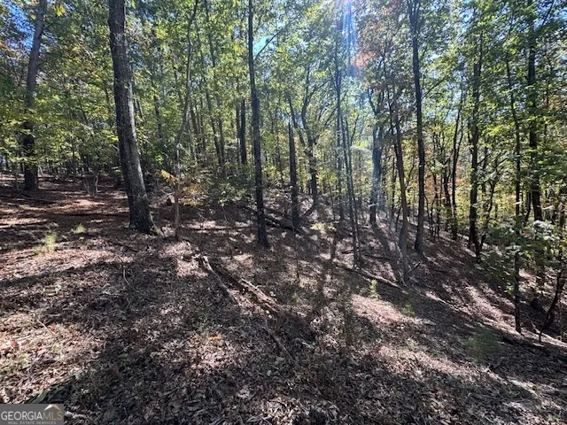 902 Pinyan RD Ranger, GA 30734