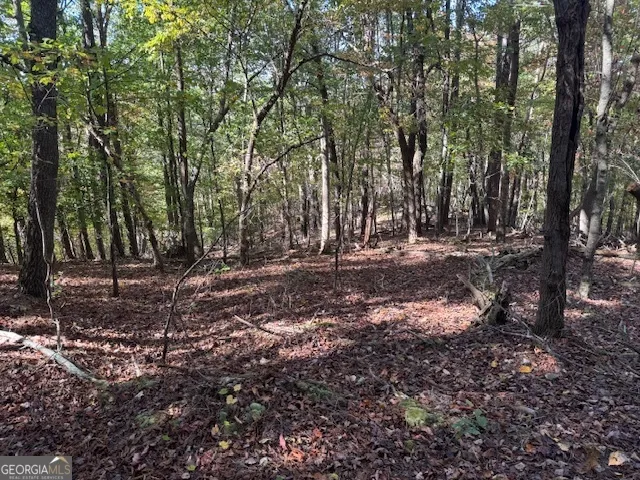 902 Pinyan RD Ranger, GA 30734