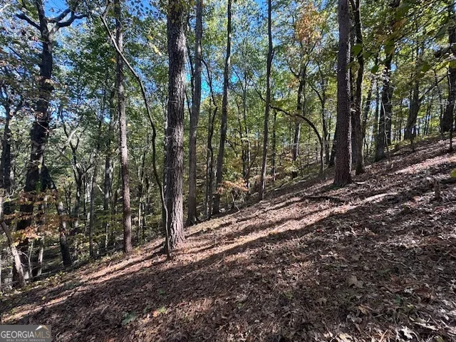 902 Pinyan RD Ranger, GA 30734