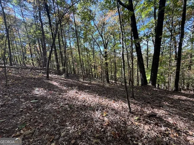 902 Pinyan RD Ranger, GA 30734