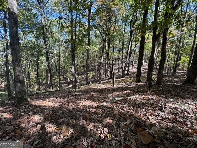 902 Pinyan RD Ranger, GA 30734
