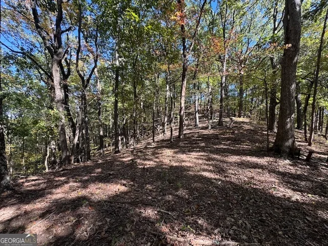 902 Pinyan RD Ranger, GA 30734