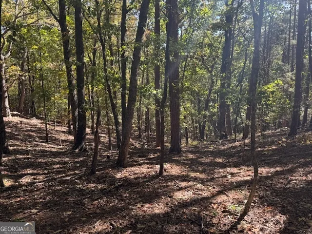 902 Pinyan RD Ranger, GA 30734